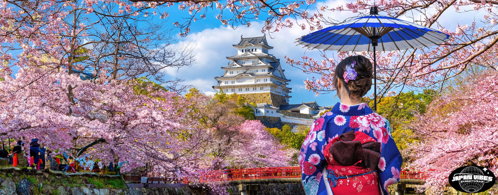 Hanami : Le festival des cerisiers en fleurs